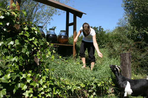 Eigen bio landbouw Eigen bio landbouw